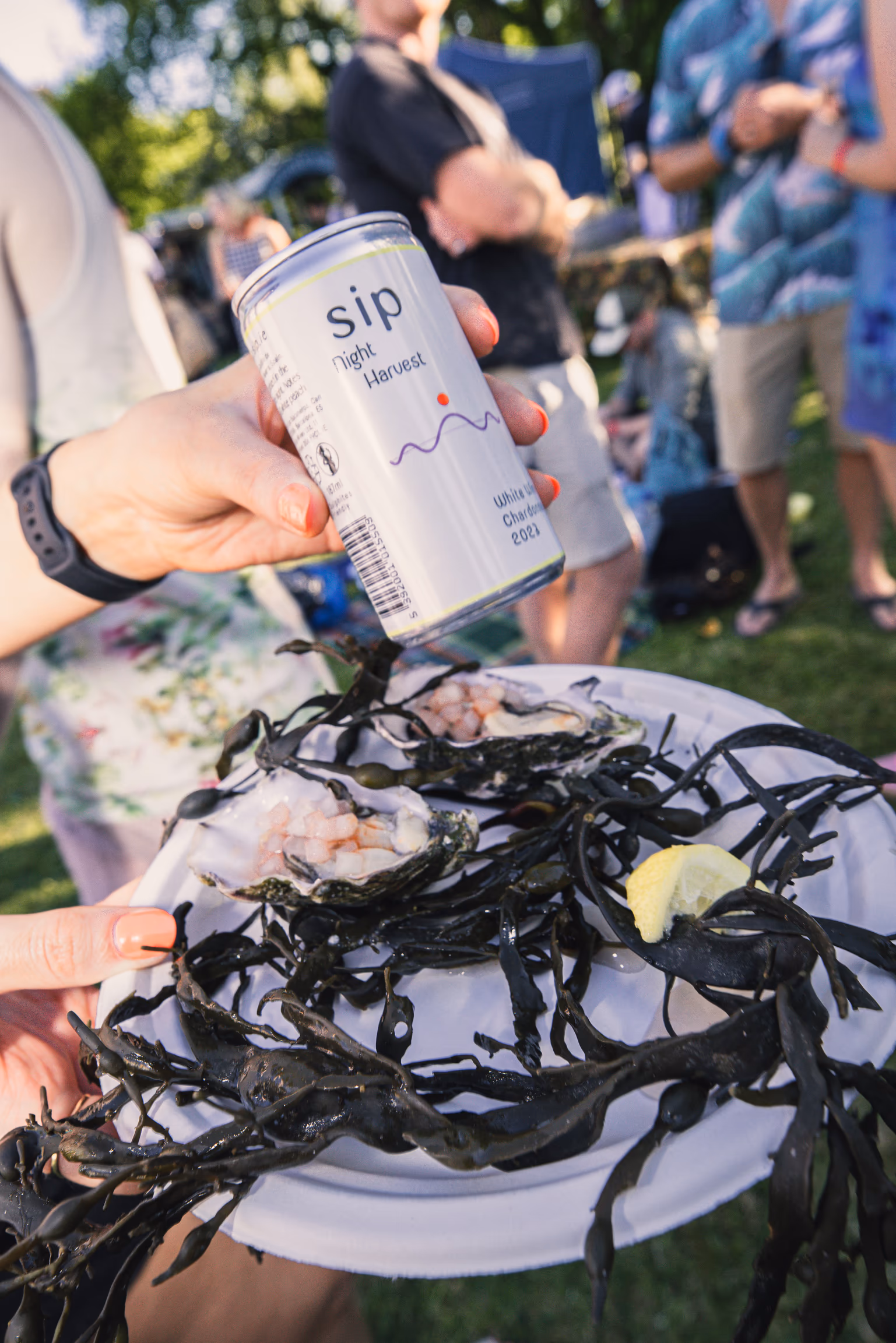 SIP Night Harvest can served alongside a plate of fresh oysters